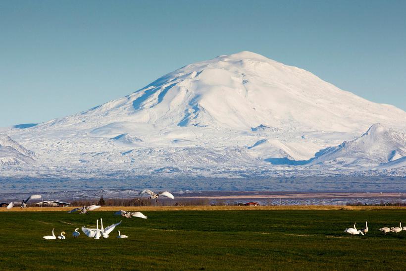 Island Vulkan Hekla : Vulkan: Forscher warnen vor Ausbruch von Hekla