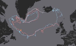 Lifandi kort sem sýnir ferðalag flöskuskeytanna tveggja.