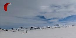 Skúli, pulling the sled.