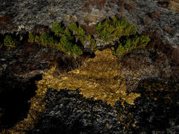 From Heiðmörk, where wildfires consumed 56 hectares of land earlier this week.