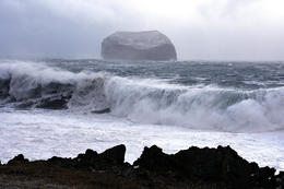 From Vestmannaeyjar islands, yesterday.