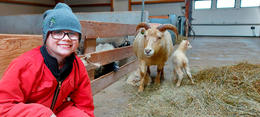 Anna Sigríður Erlendsdóttir in the company of the ewe and the lambs.