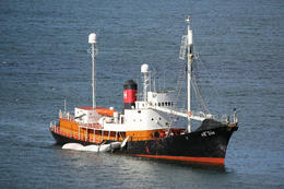 Whaling in Iceland. The whaling vessel, Hvalur 9 coming to shore