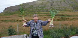 Þórunn Ólafsdóttir showing some of her organic garlic production.