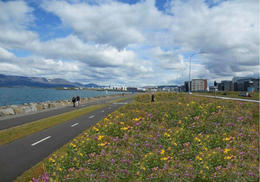 This is how city officials see this area by Sæbraut looking as a "nature area".
