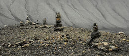 “Some call them 'tourists' warts.'&#8221;
