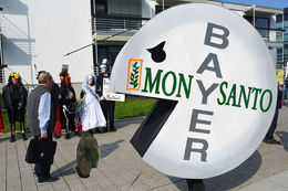 Umhverfissinnar hafa lengi fundið Monsanto flest til foráttu og hafa þeir hótað að færa mótmæli sín yfir til Bayer, viðhafi það framleiðsluhætti fyrirtækisins.