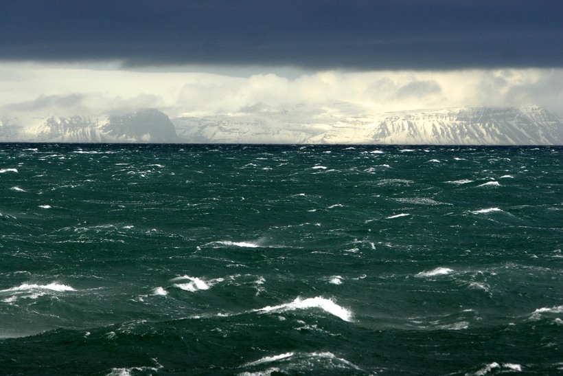 Hurricane Forces - Wind VS Wave Forces