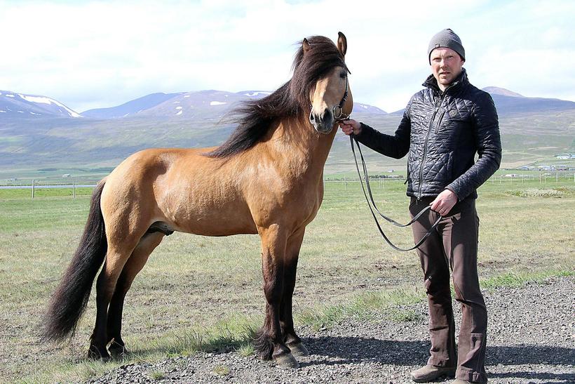 Þórólfur from Prestbær east of Iceland