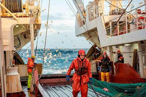 Niðurstöður stofnmælingar botnfiska hefur verið birt á vef Hafrannsóknastofnunar. Vísbendingar eru um að þorskstofninn sé …