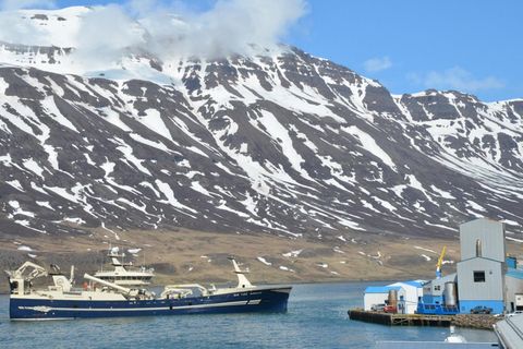 Börkur NK að leggjast að löndunarbryggju fiskimjölsverksmiðjunnar á Seyðisfirði með fullfermi af kolmunna.