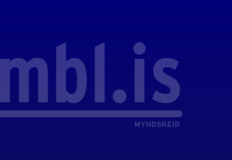 Bandaríski Herinn