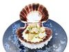Icelandic scallop with smoked butter.