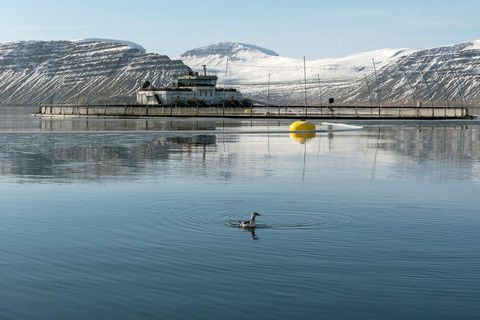 Arnarlax greiddi í byrjun árs í fyrsta sinn tekjuskatt.