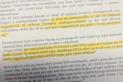 Talsvert hefur verið fjallað um hina umdeildu bókun við EES-samninginn og frumvarp um forgang EES-réttar …