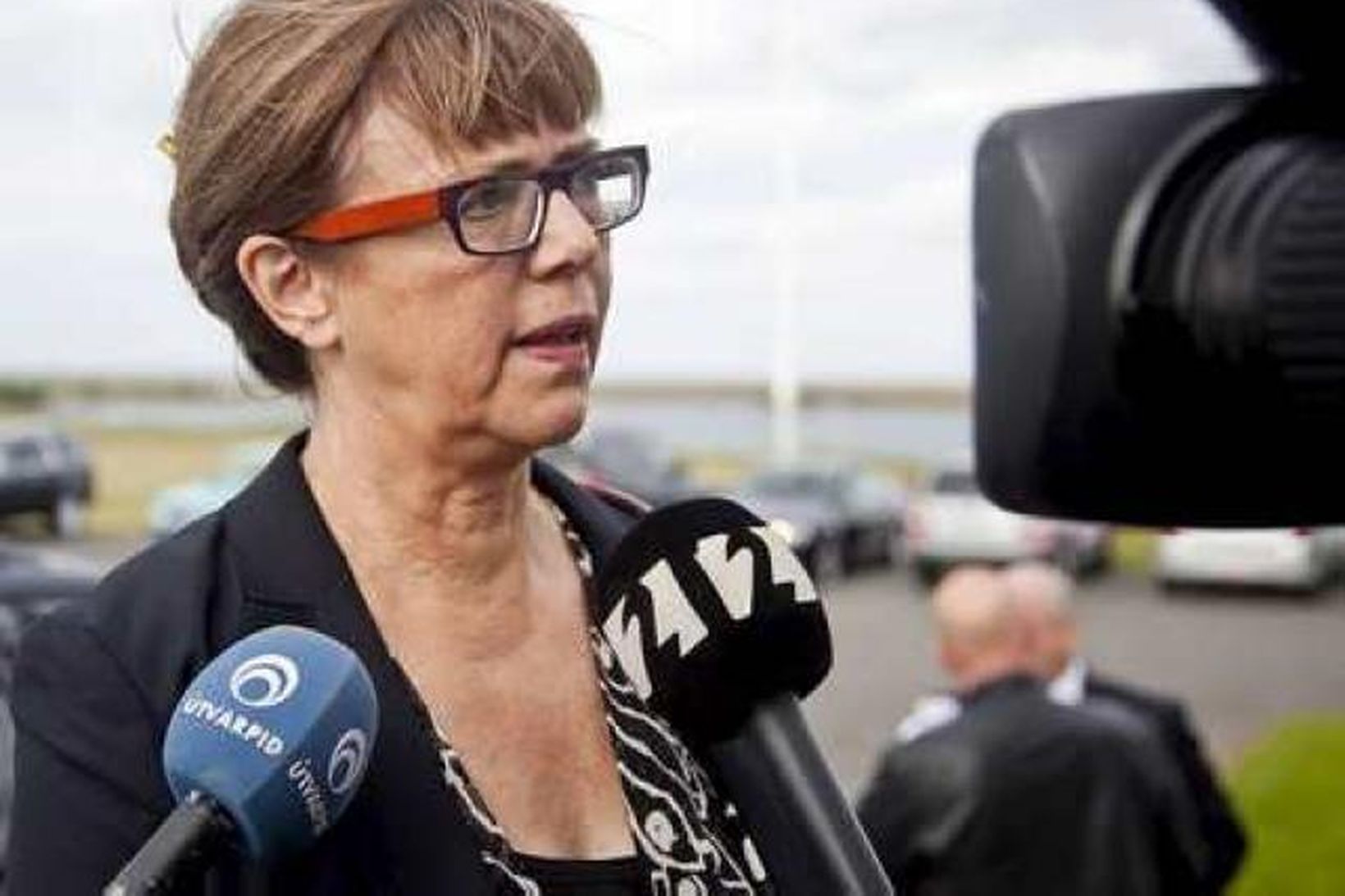 Álfheiður Ingadóttir.