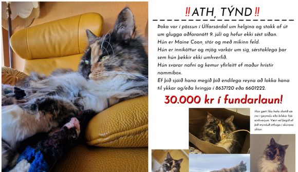 Héldu að bíllinn væri farinn að mjálma