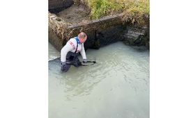 IMG_0745