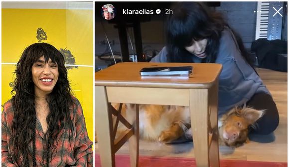 Loreen tekur upp með Ólafi Arnalds og klappar hundum