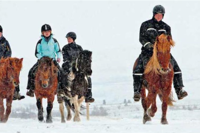 The summer snow is not deterring these horse-riders in Húsavík (Northern Iceland).