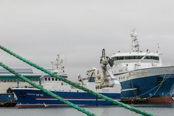 Fiskistofa afgreiddi 27 brottkastsmál á síðasta ári. Níu voru sviptir leyfi til veiða frá einni …