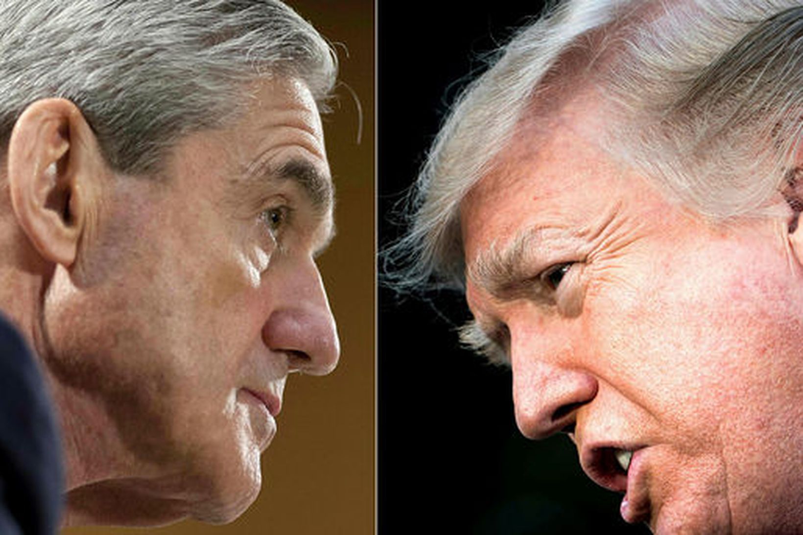 Robert Mueller og Donald Trump.