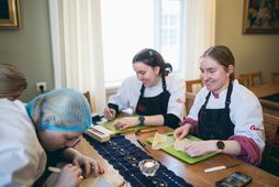 Séð frá vinstri, Saga Guðrún, María Sif, Ásdís Eva og Eyrún Ósk skemmta sér vel …