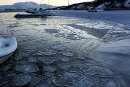 Ís á Pollinum við Akureyri. Mynd úr safni.