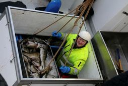 Ekki verður lengur hægt að skila aflaupplýsingum til Fiskistofu með Aflaranum.