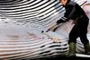 Fin whale not endangered in the North Atlantic