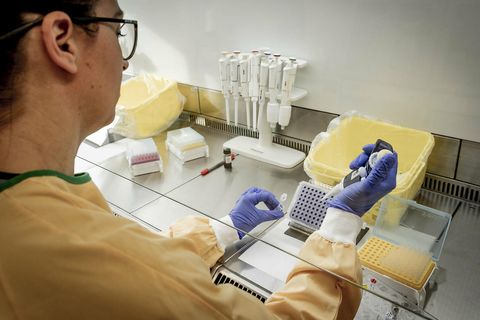 A total of 230 samples have been analyzed in Iceland.