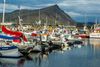 Í 71. skipti skilaði Emilía AK ekki aflaupplýsingum