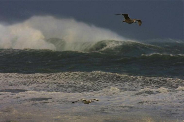 Storm Warning For East Iceland Iceland Monitor