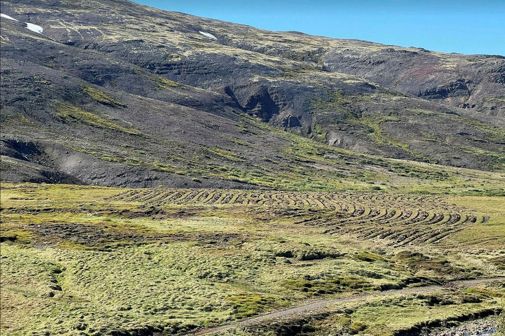 Skipulagsfulltrúi Skorradalshrepps hefur stöðvað gróðursetningu sem Skógræktin stendur fyrir.