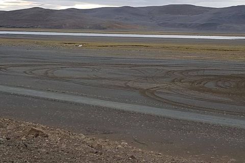 Tracks left by off-road driving in Grafarlönd on Monday.