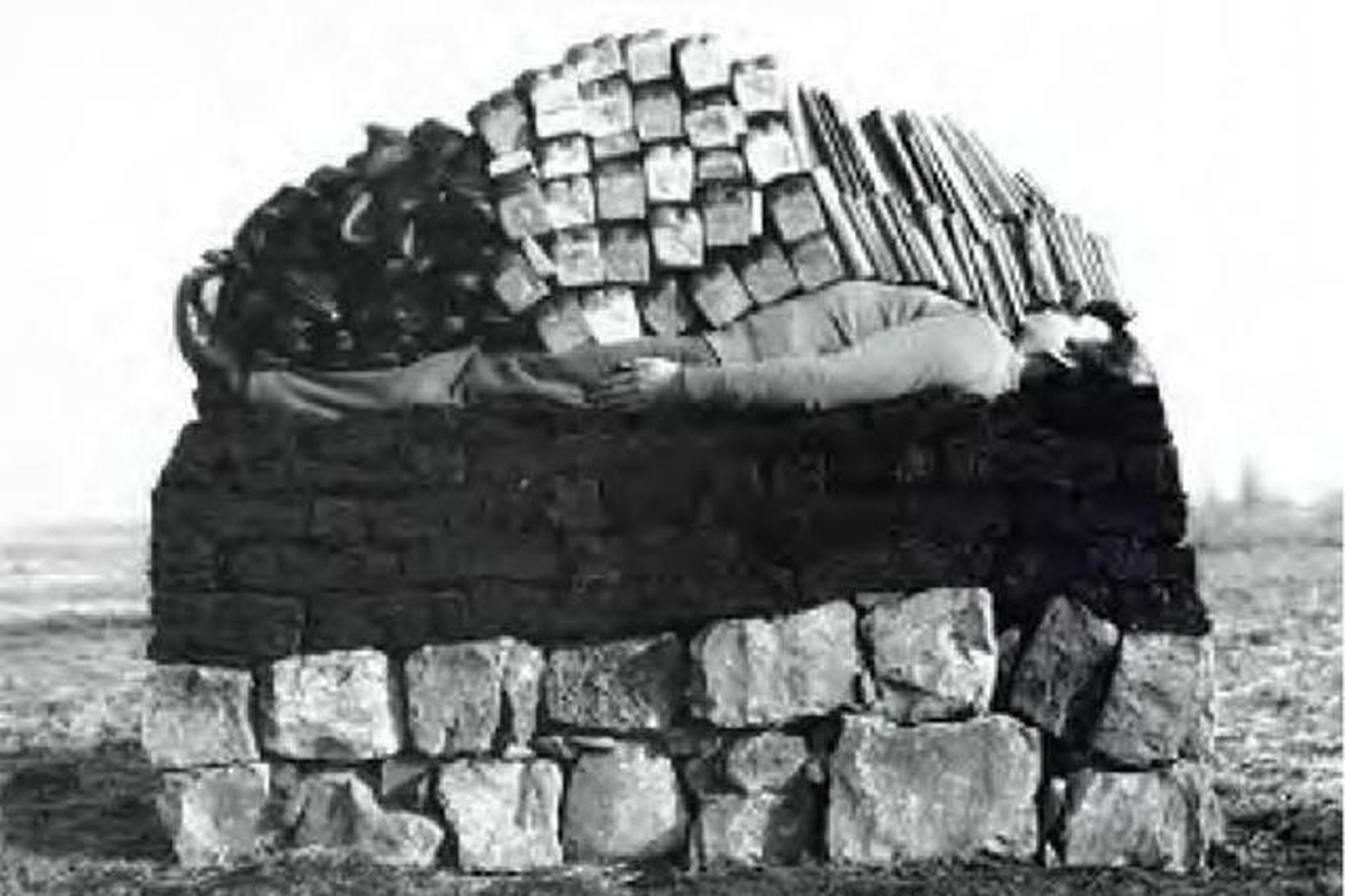 Mountain er stór ljósmynd, vel á annan metra á breidd. …